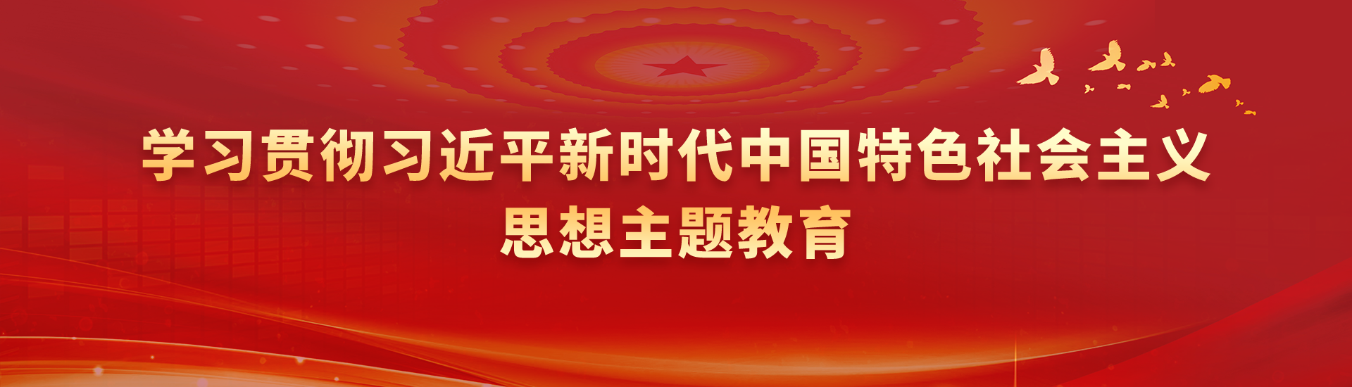 学习贯彻习近平新时代中国特色社会主义思想主题教育